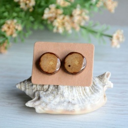 Kolczyki z drewna i srebra